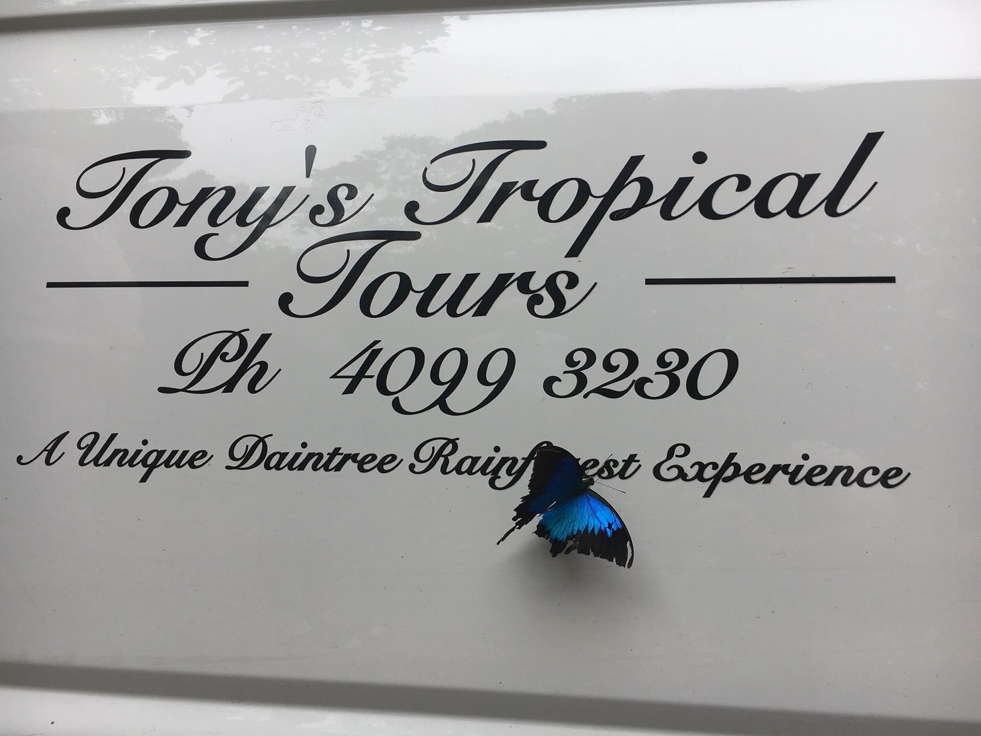 tony's tropical tours reviews